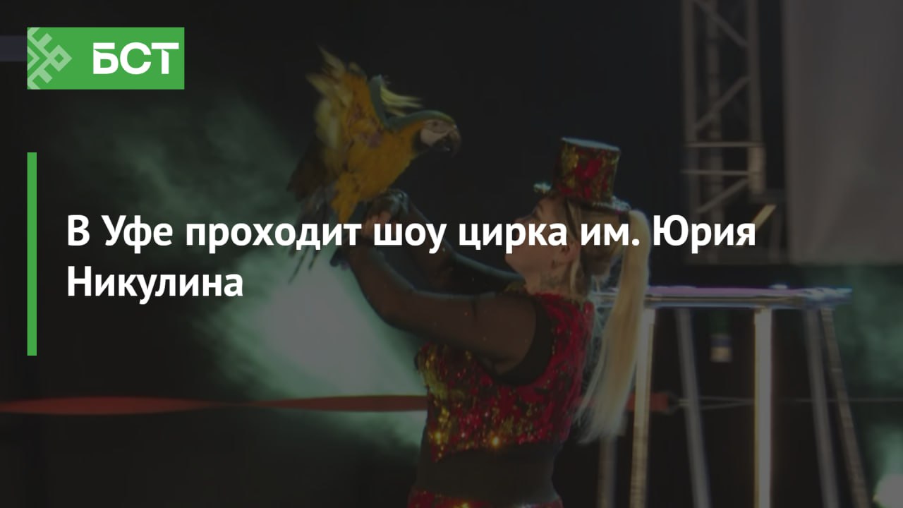 В Уфе проходит шоу цирка им. Юрия Никулина