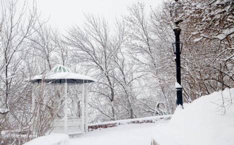 �� ������ ������������, 29 ������� �� ���������� ���������� ��������� �������� ������, ���� � ������������