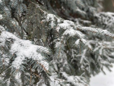 �� ������ ������������, 30 ������� �� ���������� ���������� ��������� �������� ������ � ������������