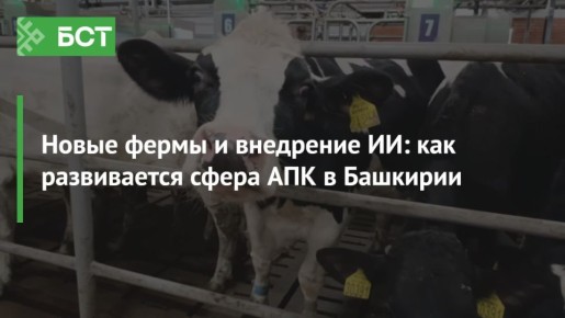 ����� ����� � ��������� ��: ��� ����������� ����� ��� � ��������