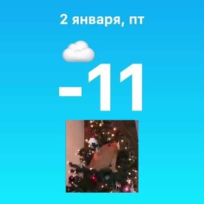 �������� ��� ����� 10 ����