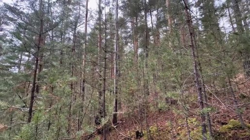 ������ �������� �������� � ���� ��������� ������ � ����� ������ ������