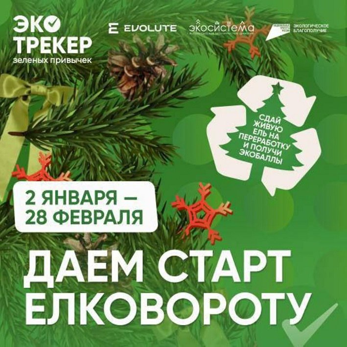 В Башкирии начался «Ёлковорот»