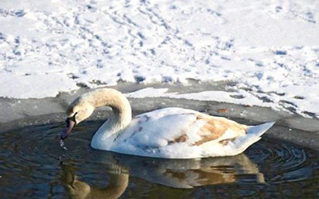 ������ ������� �� �������� �� �� ������ � ������������ ������ �������