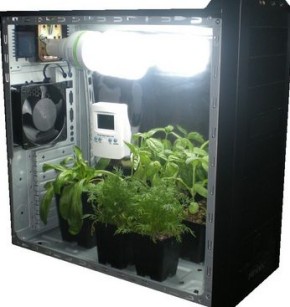 Гроубоксы: современное решение для выращивания рассады в условиях города