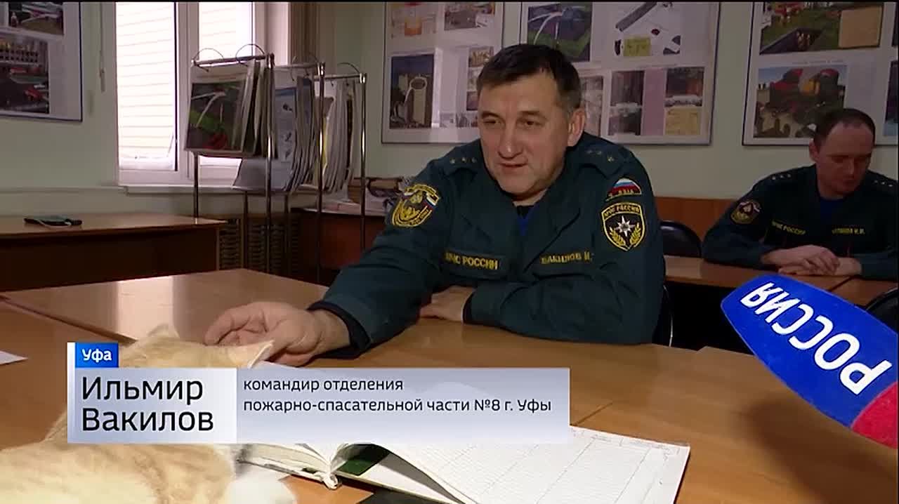 Рыжий кот растопил сердца суровых огнеборцев в Уфе
