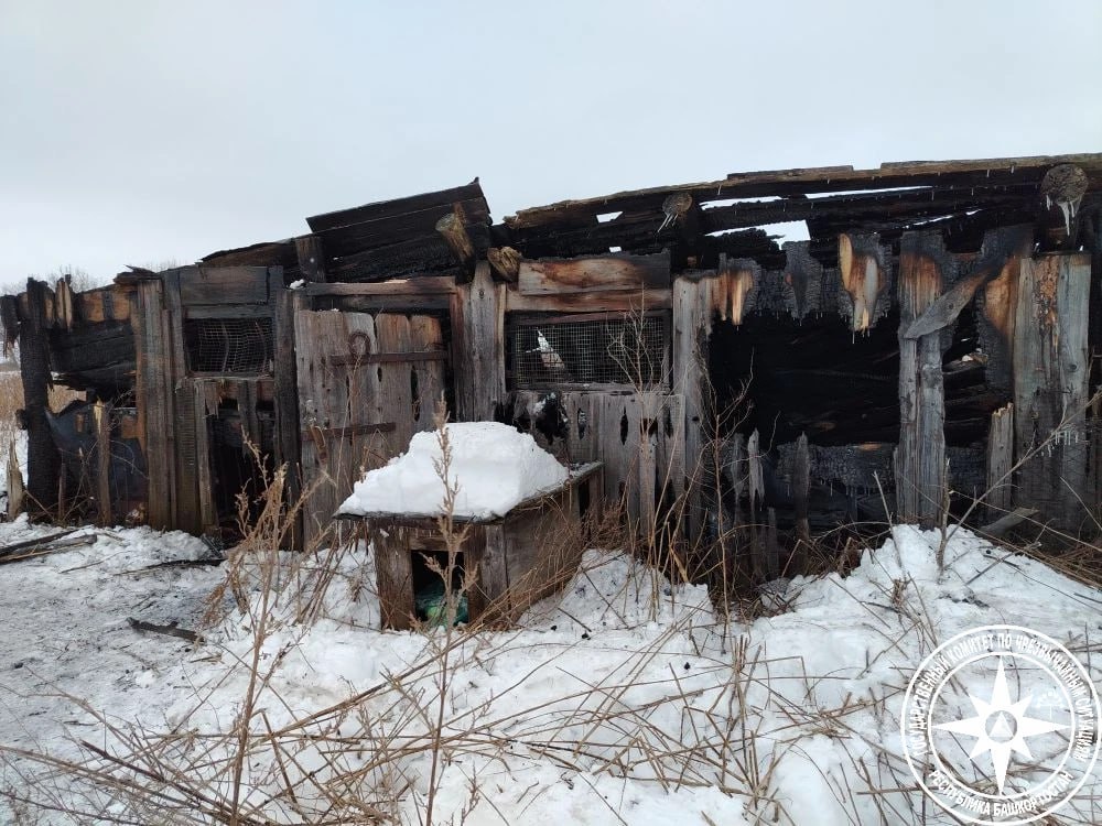 При разборе завалов нашли тело При разборе завалов нашли тело