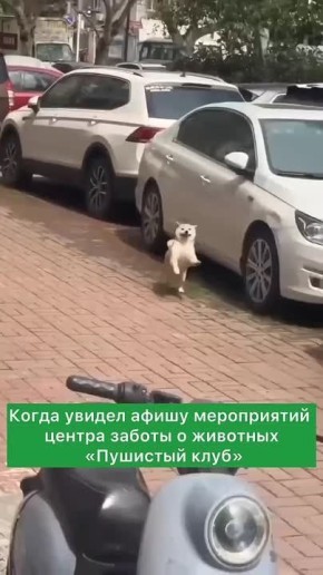 ����� ������� ������ ������ � �������� ��������� ���� � ������!