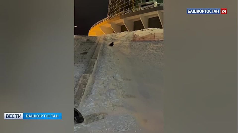 ������ ������� ������� ��� ������� �� ������������������� �����