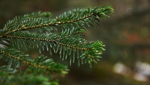 � ��� �������� ����� ����� � �����