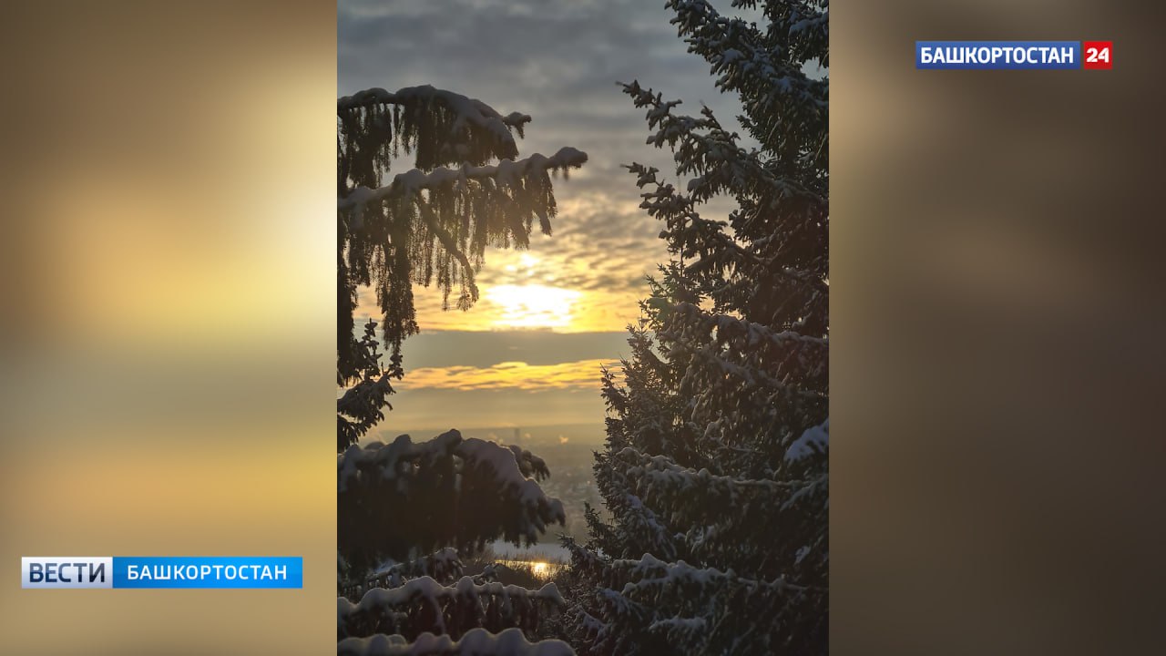 Небольшой снег и -2: синоптики рассказали о погоде в Башкирии 8 января