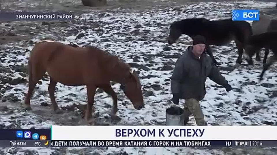 � �������� ������ ���������� ����������� ������� ����� 20 ���