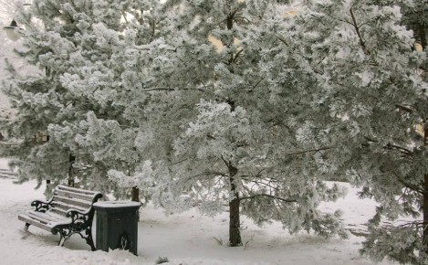 �� ������ ������������, 9 ������ �� ���������� ���������� ��������� �������� ������ � ������������