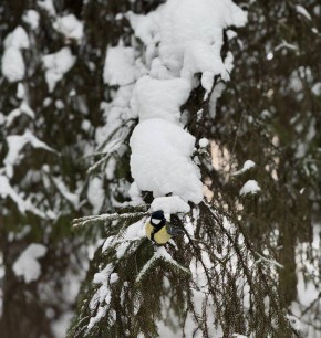 �� ������ ������������, 10 ������ �� ���������� ���������� ��������� �������� ������ � ������������