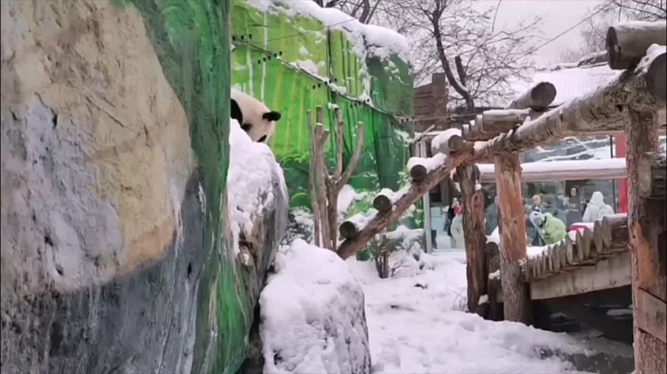 ������ �� ����������� �������� �������� ���������� ������� � ��������� �����