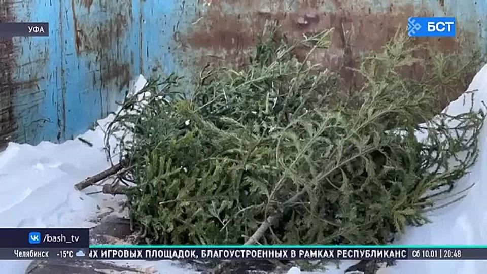 � ��� �������� ����� ����� � �����