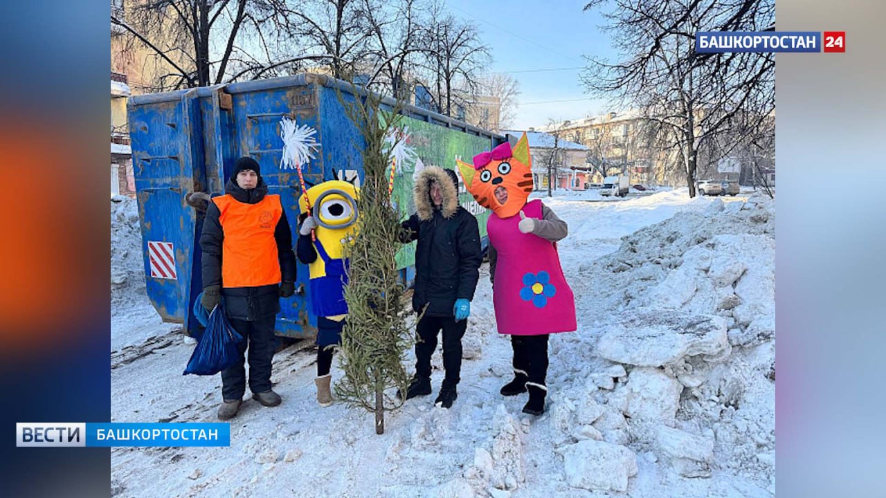 В Уфе начали работать пункты приема новогодних елок