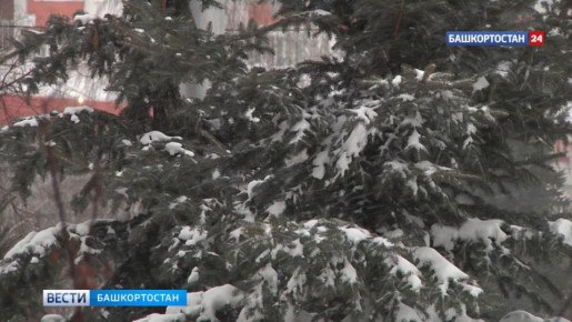 Гололед и снежные заносы: метеорологи Башкортостана дали прогноз погоды на 11 и 12 января
