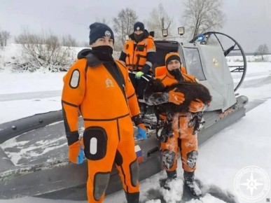 � �������� ������������ ������ �� ���������� �������� �������� �� ����� ����� � ������� ������