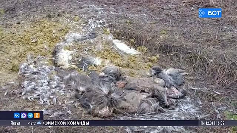 � �������� �������� ����� �� �������������� ���������� �����