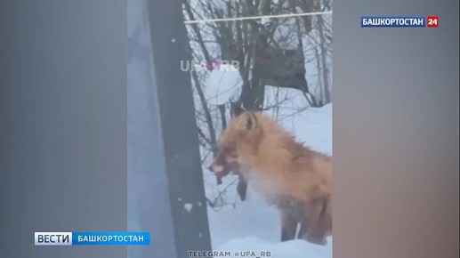 � �������� ������ �������� ���� �������� �� �������� �����