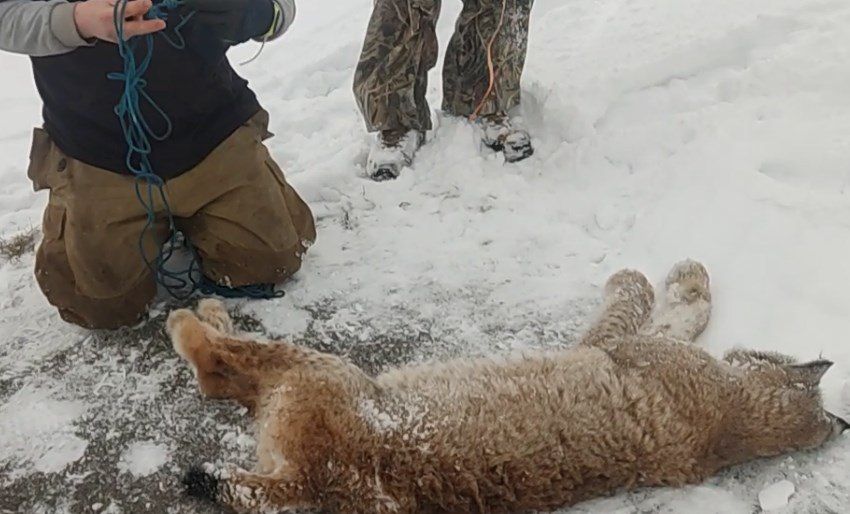 ������� ���� ������ �� ������� � ������� ������ ��������� �����