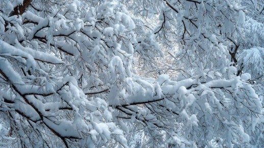 ������ �� -23�� �������������� � �������� � ������ ������