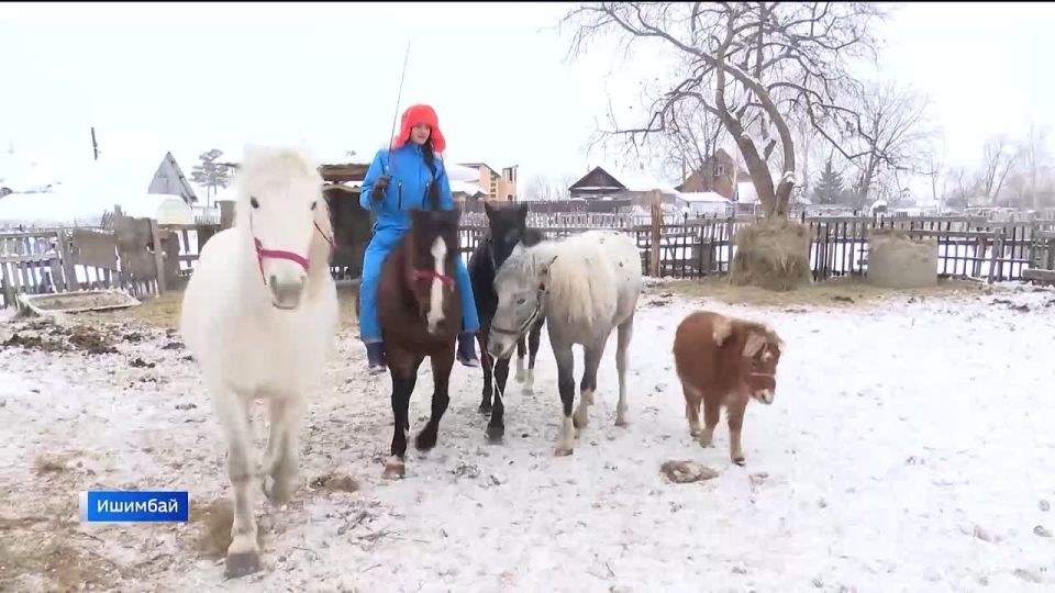 ������������� ������� ������� ������ �� ������������� ������� �� ������ ����������� ����� ���������