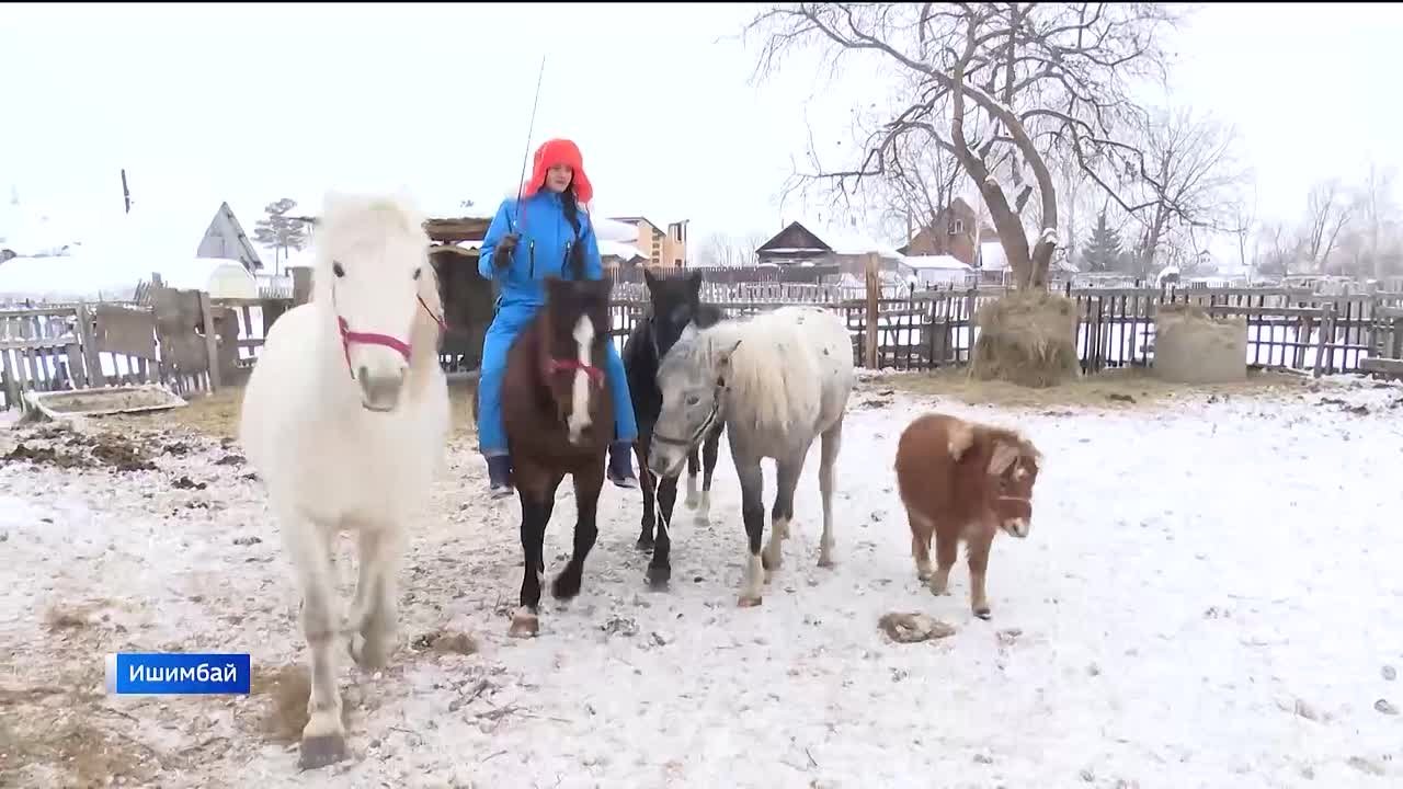 Дрессировщица лошадей Татьяна Носова из Башкортостана готовит со своими подопечными новую программу