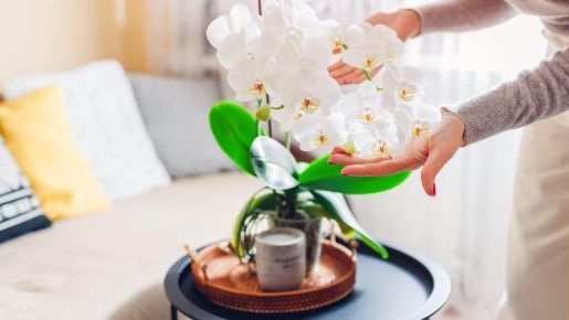 ����� ������ ���� ����� ����������� �������: �� ������ ������� �� ������ ����������