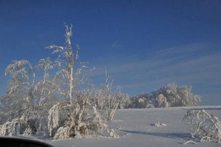 �� ������ ������������, 13 ������ �� ���������� ���������� ��������� �������� ������ � ������������