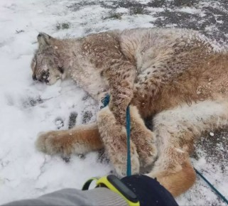 ������� ����� ������������� �� ����� ��������� ���� �� ��������