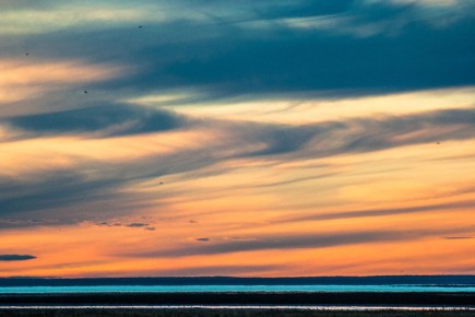 ������� ��������� ��� ���������� ���: ��������������� ���������� �������� �������