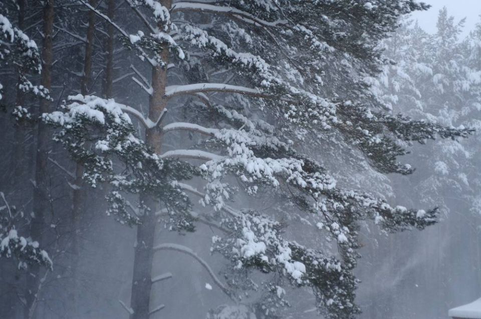 �� ������ ������������, 14 ������ �� ���������� ���������� ��������� �������� ������ � ������������