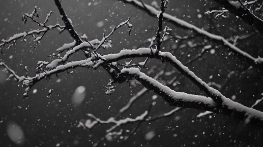 ������ 30-��������� ������