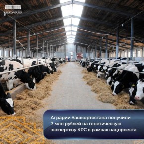 Аграрии Башкортостана получили 7 млн рублей на генетическую экспертизу КРС в рамках нацпроекта