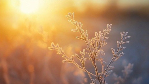 �������� ������� ������� ������