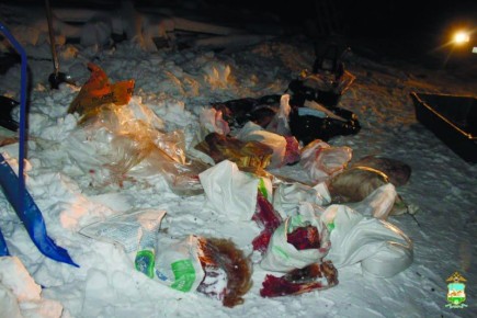 Полицейские Абзелиловского района задержали подозреваемых в краже лошади