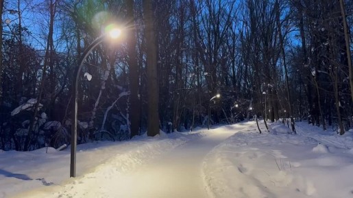 �� ������� ���������� ��������� �������� ����