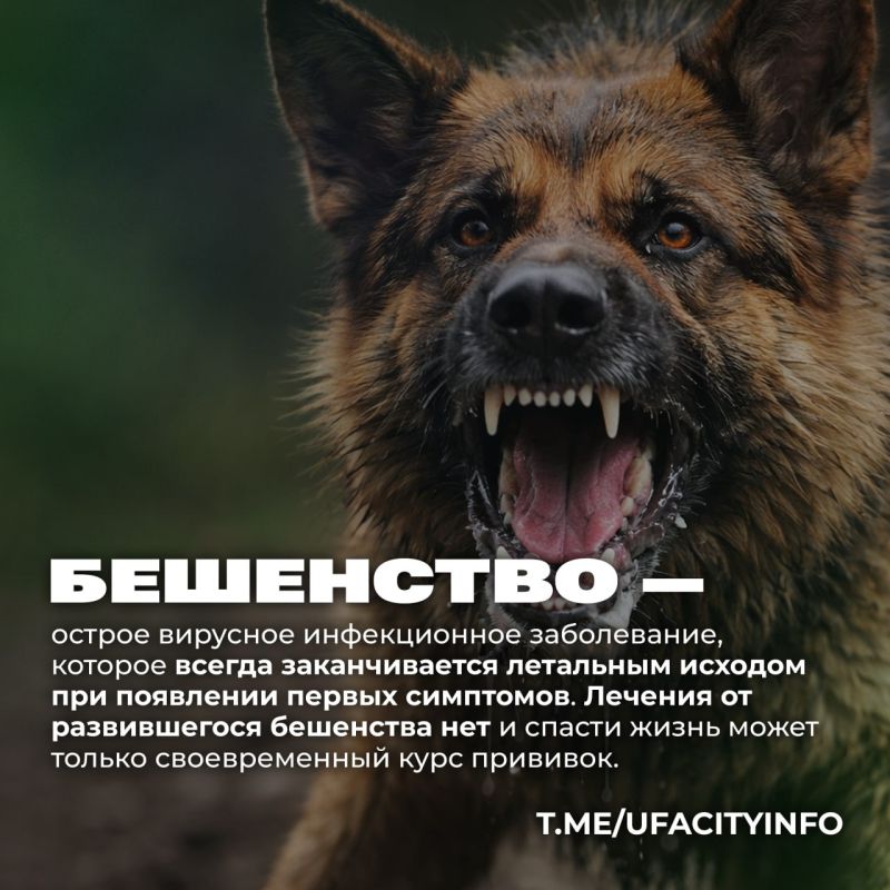 ������������� ������� �������