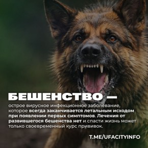 ������������� ������� �������