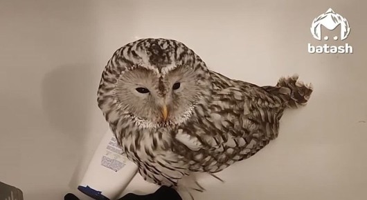 ���� ��������� � ���� ������ � �������� �������� �������