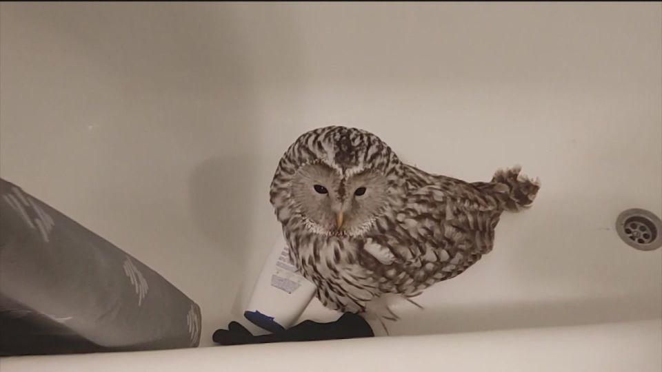 � ��� �� ����� ������� ����� ���� ��������� � ���� ��������