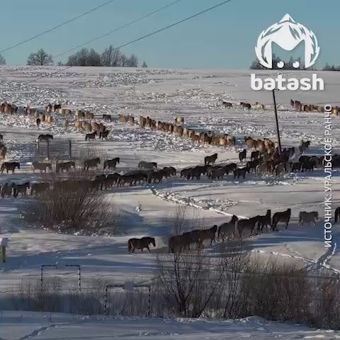 ������ �������� � ������� ����� ������ �� �������� � ���-������