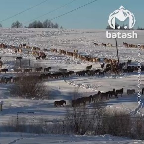 ������ �������� � ������� ����� ������ �� �������� � ���-������