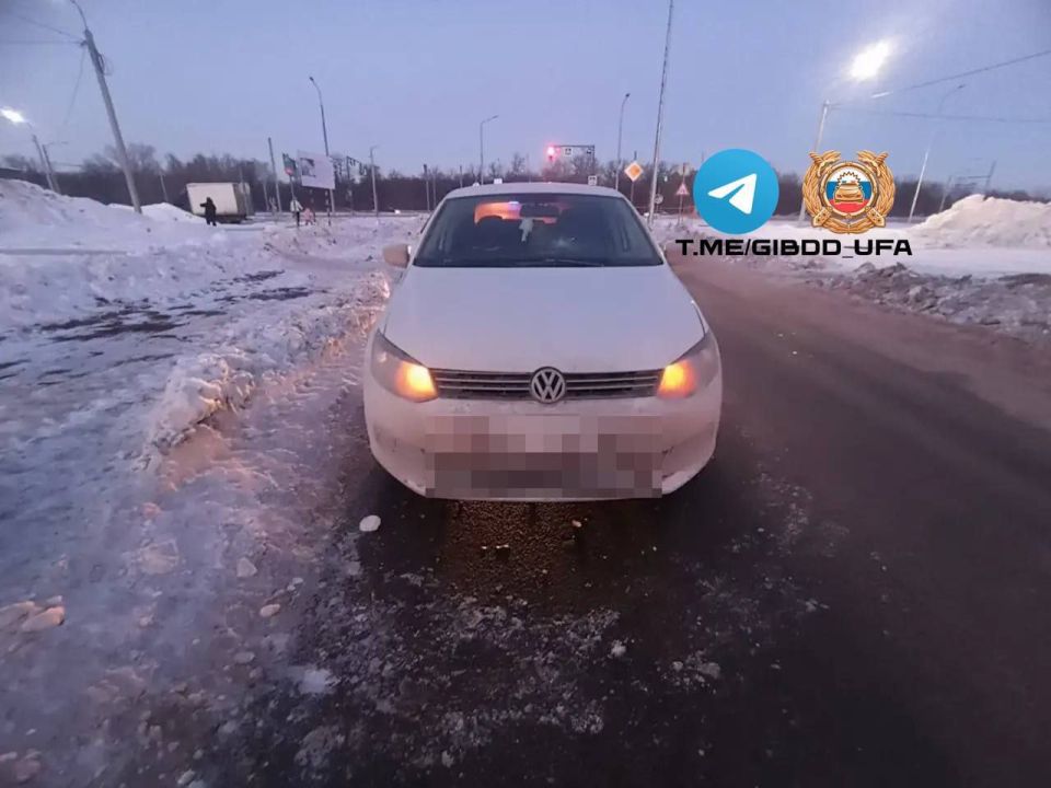 ������������ ������ �� ���������