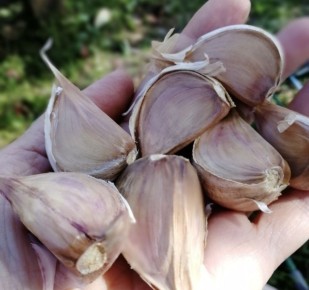 ����� � ������� ������� �������: ������� �� ���������