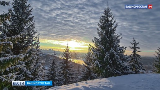 ������ ������ � �������� ��������� � ��������