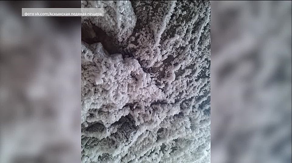 ���� ��������� ������� ������ � �������� ��������� ��������� ����������� ����