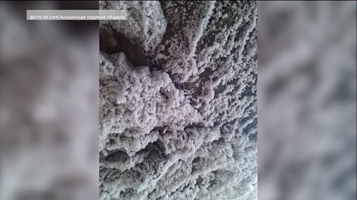 ���� ��������� ������� ������ � �������� ��������� ��������� ����������� ����